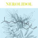 Read more about the article Nerolidol: bioaktywna molekuła olejku Cabreuva | Monografie cząsteczek aromatycznych cz. 1